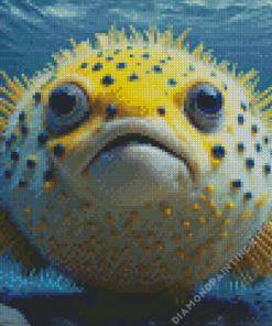 Yellow Puffer Fish Diamond Painting