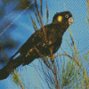 Yellow Tailed Black Cockatoo Birds Diamond Painting