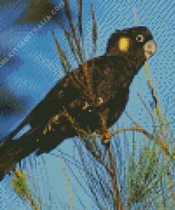 Yellow Tailed Black Cockatoo Birds Diamond Painting