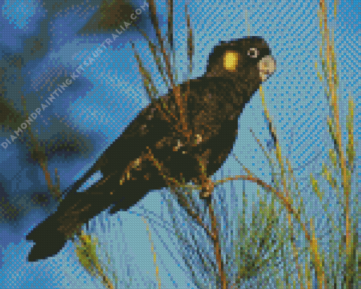 Yellow Tailed Black Cockatoo Birds Diamond Painting