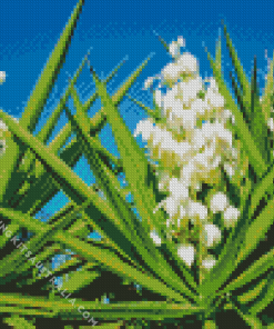 Yucca Flowers Diamond Painting