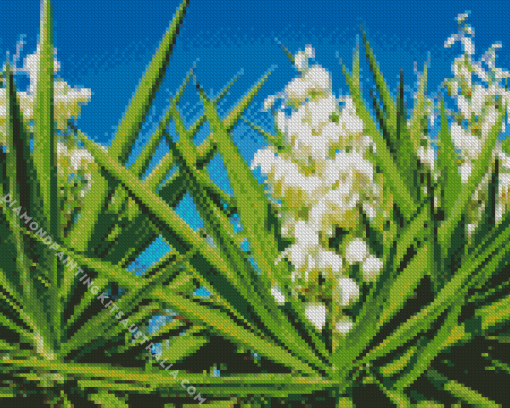 Yucca Flowers Diamond Painting