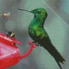 Bee And Humming Bird Diamond Painting