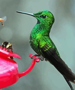 Bee And Humming Bird Diamond Painting