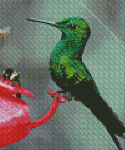 Bee And Humming Bird Diamond Painting