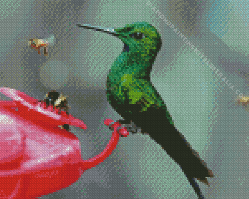 Bee And Humming Bird Diamond Painting