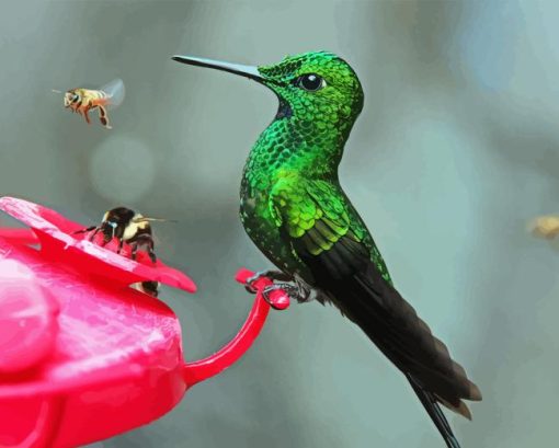 Bee And Humming Bird Diamond Painting