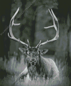 Black And White Elk Diamond Painting