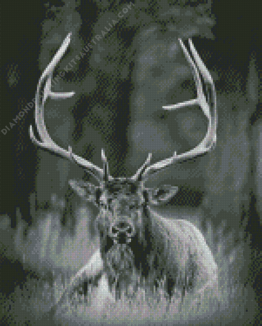 Black And White Elk Diamond Painting