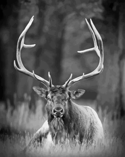 Black And White Elk Diamond Painting