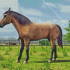 Domestic Horse Diamond Painting