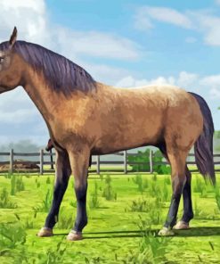 Domestic Horse Diamond Painting