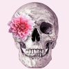 Floral Pink Skull Diamond Painting