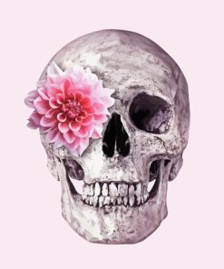 Floral Pink Skull Diamond Painting