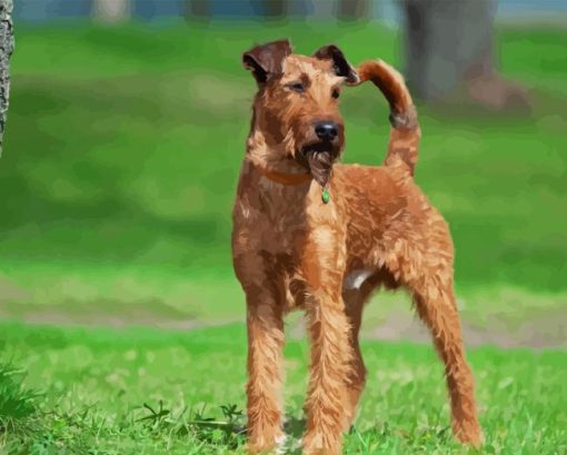 Irish Terrier Dog Diamond Painting