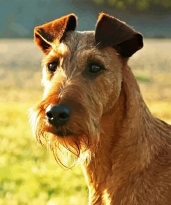 Irish Terrier Puppy Diamond Painting