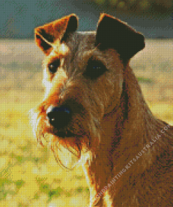 Irish Terrier Puppy Diamond Painting