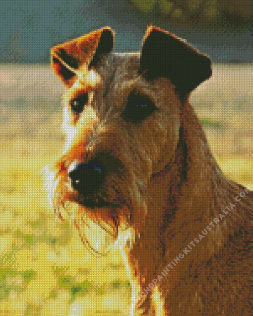 Irish Terrier Puppy Diamond Painting