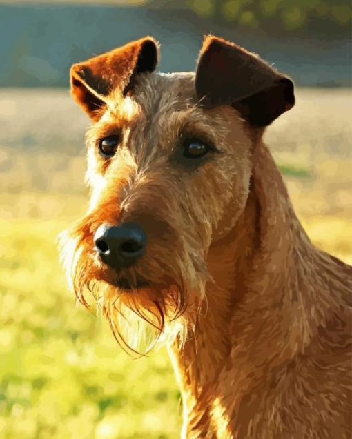 Irish Terrier Puppy Diamond Painting