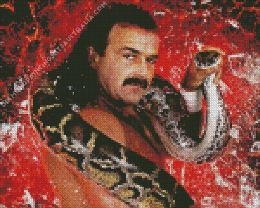 Jake The Snake Wrestler Diamond Painting