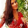 Katrina Kaif Actress Diamond Painting