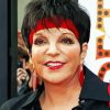 Liza Minnelli Diamond Painting