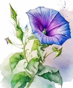 Morning Glory Diamond Painting