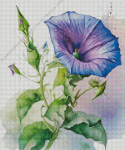 Morning Glory Diamond Painting