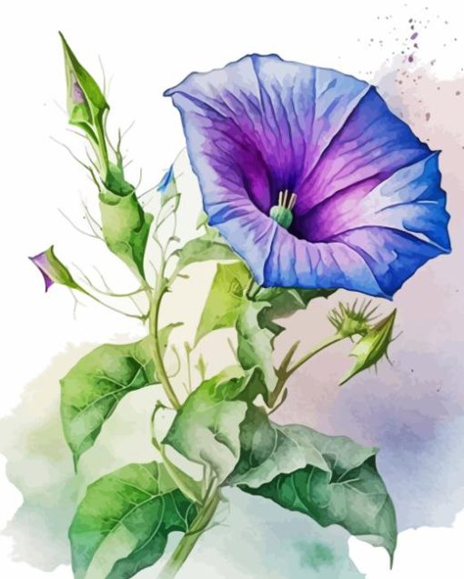 Morning Glory Diamond Painting