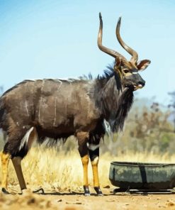 Nyala Animal Diamond Painting