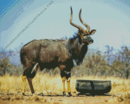 Nyala Animal Diamond Painting