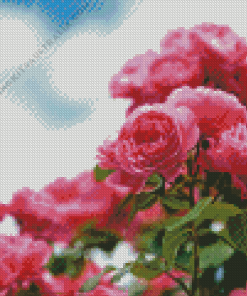 Pink Roses In Garden Diamond Painting