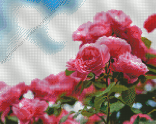 Pink Roses In Garden Diamond Painting