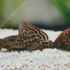 Pleco Diamond Painting