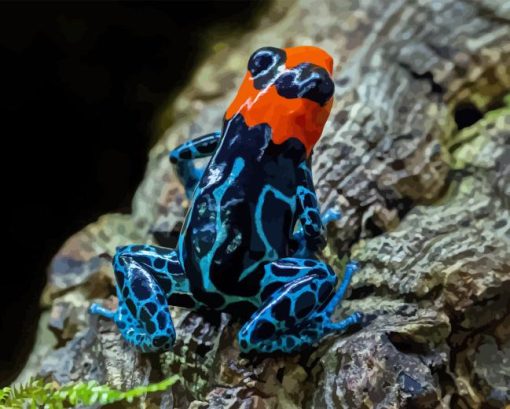 Poison Dart Frogs Diamond Painting