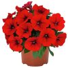 Red Petunia Diamond Painting