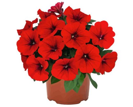 Red Petunia Diamond Painting