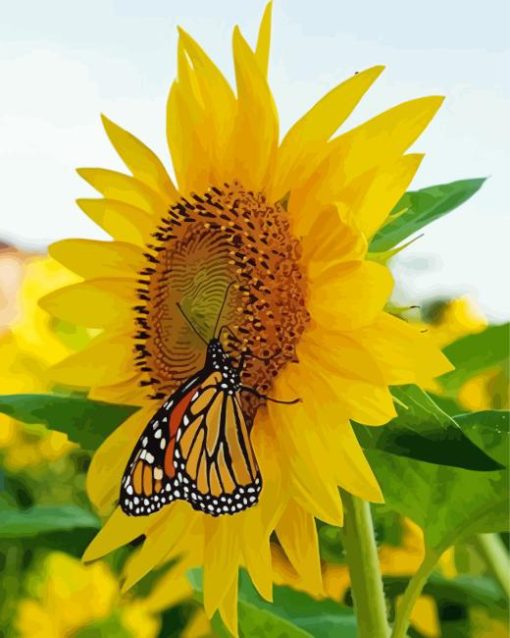 Sunflower Butterfly Diamond Painting