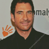 The American Actor Dylan Mcdermott Diamond Painting