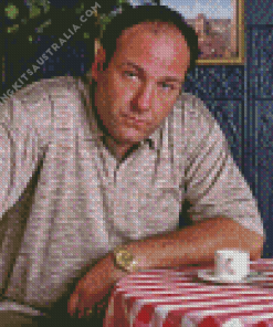 Tony Soprano Character Diamond Painting