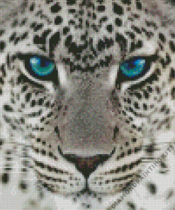 Wild Blue Eyes Jaguar Diamond Painting