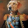 Admiral Dog Animal Diamond Painting