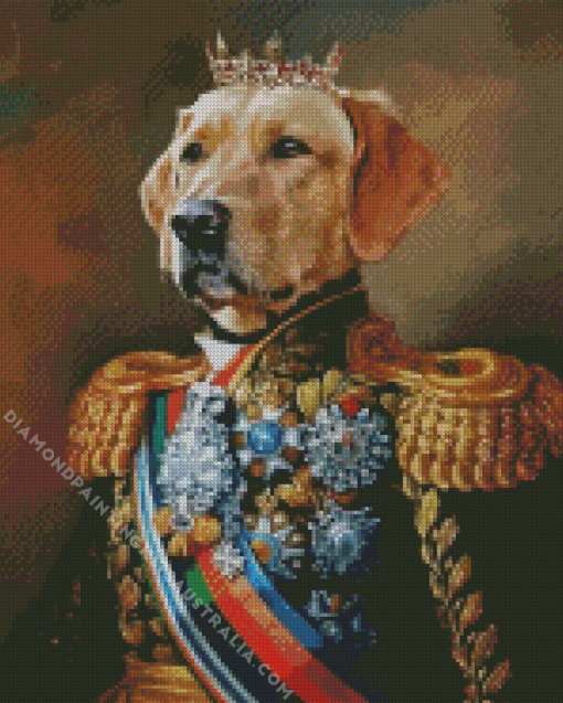 Admiral Dog Animal Diamond Painting