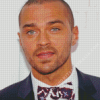 American Actor Jesse Williams Diamond Painting