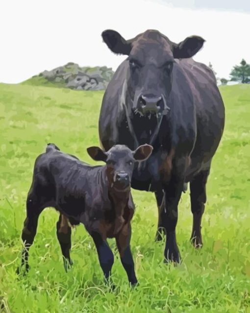 Angus Cow And Calf Diamond Painting