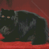 Black Persian Cat Diamond Painting