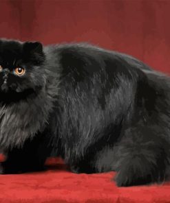 Black Persian Cat Diamond Painting