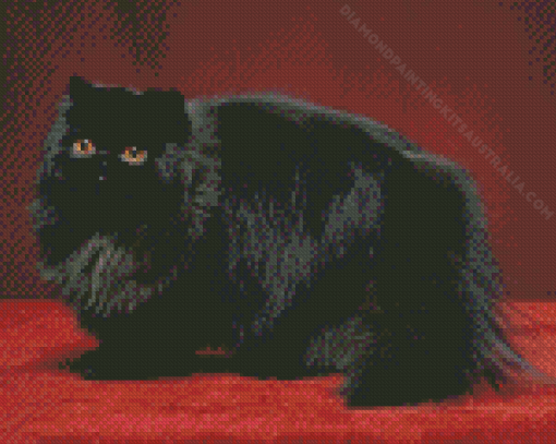 Black Persian Cat Diamond Painting