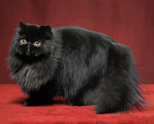 Black Persian Cat Diamond Painting