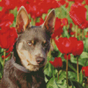 Brown Dog In Tulips Field Diamond Painting